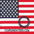 Standard American Flag Bandanna